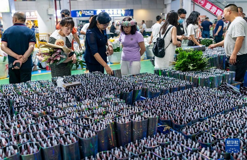 Khám phá chợ hoa lớn nhất Côn Minh, Trung Quốc - Ảnh 4.