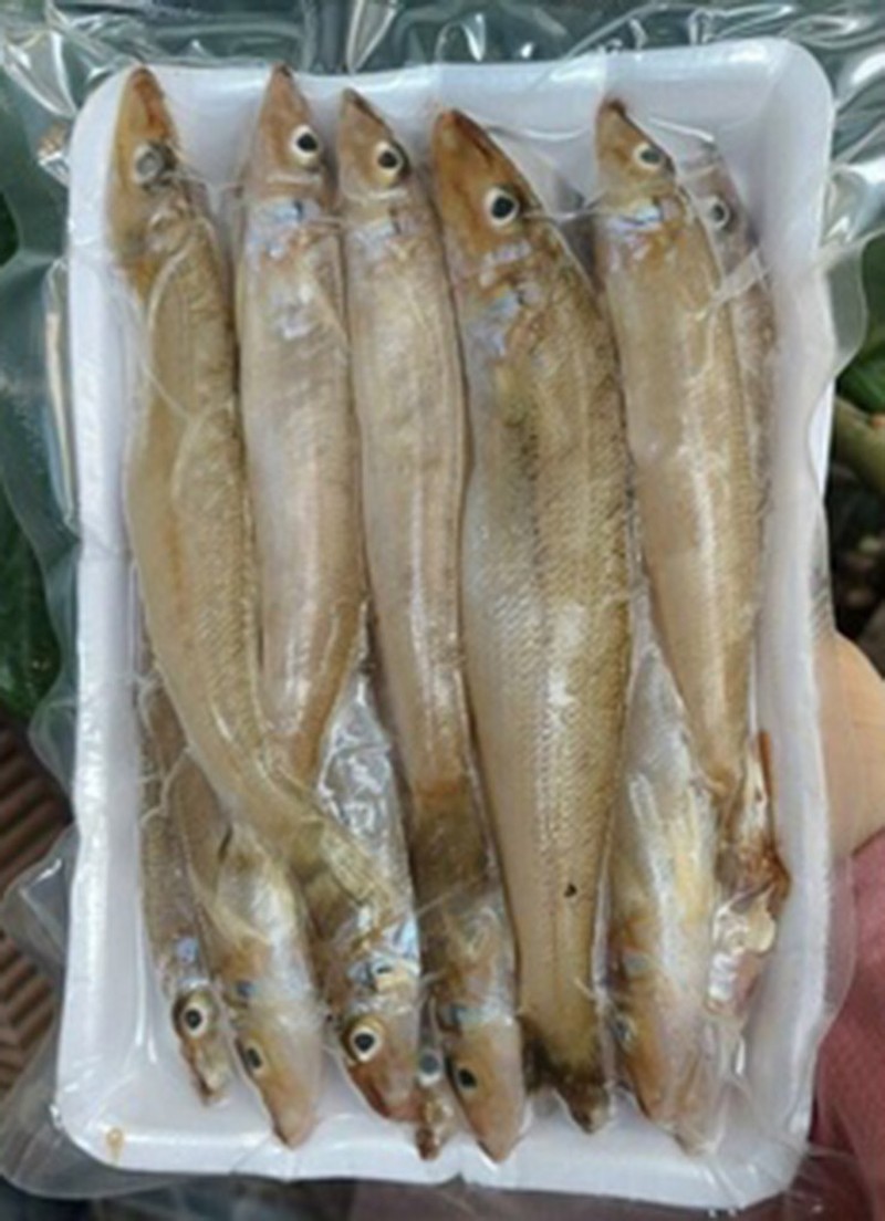 Cá đục, món ngon vùng biển Quảng Ninh - Ảnh 5.