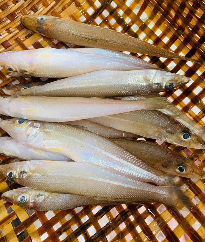 Cá đục, món ngon vùng biển Quảng Ninh - Ảnh 8.
