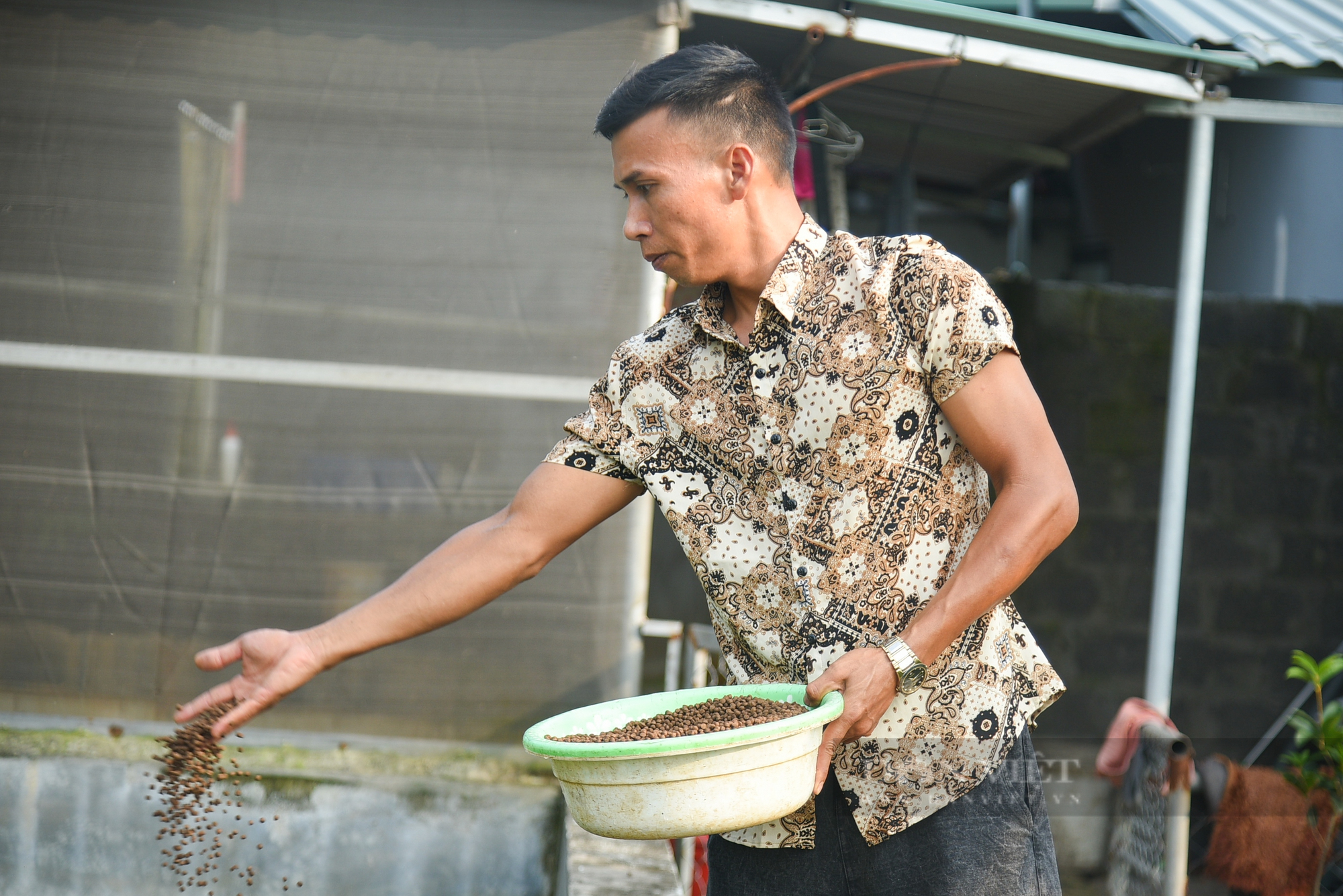 MÔ HÌNH NUÔI BA BA TẠI HUYỆN TÂN CHÂU TÂY NINH