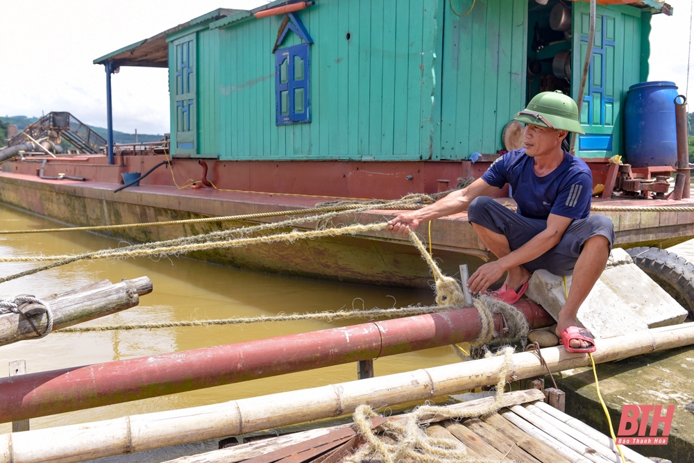 Nuôi cá lăng đặc sản trên sông Mã ở Thanh Hóa - Ảnh 8.