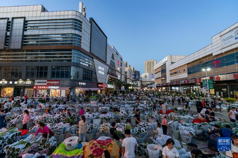 Khám phá chợ hoa lớn nhất Côn Minh, Trung Quốc - Ảnh 9.