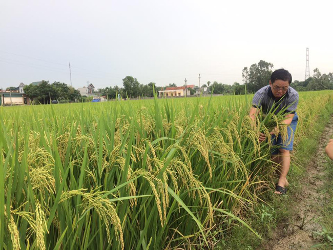 Xúc động bài thơ của lão nông 80 tuổi viết tặng AHLĐ, thương binh Trần Mạnh Báo - Ảnh 2.