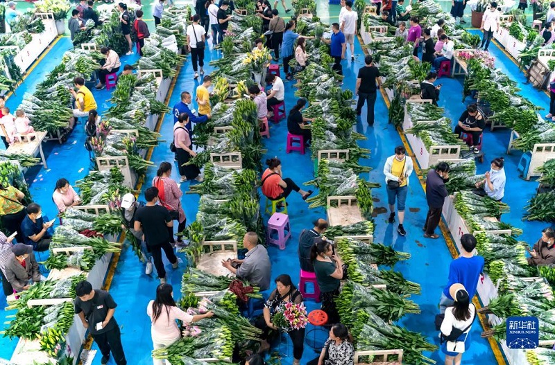 Khám phá chợ hoa lớn nhất Côn Minh, Trung Quốc - Ảnh 8.