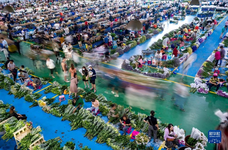Khám phá chợ hoa lớn nhất Côn Minh, Trung Quốc