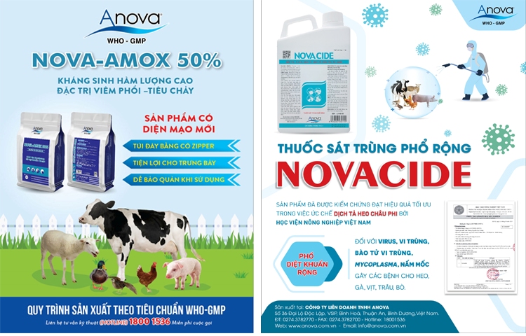 NOVA-AMOX 50% và NOVACIDE đạt danh hiệu &quot;Thương Hiệu Vàng Nông Nghiệp Việt Nam năm 2022&quot; - Ảnh 4.