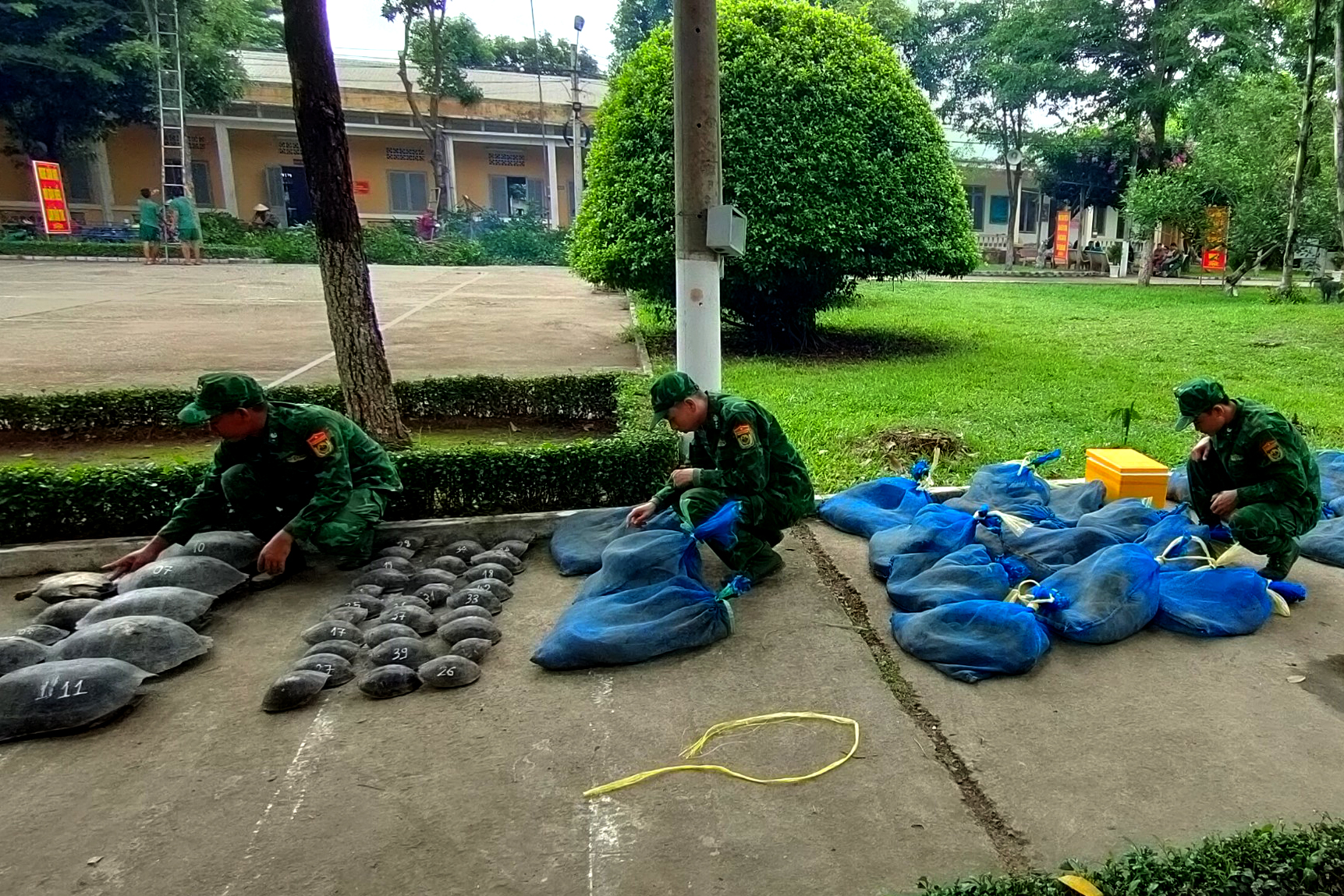 BĐBP An Giang bắt giữ vụ vận chuyển trái phép 94 cá thể động vật hoang dã qua biên giới - Ảnh 2.