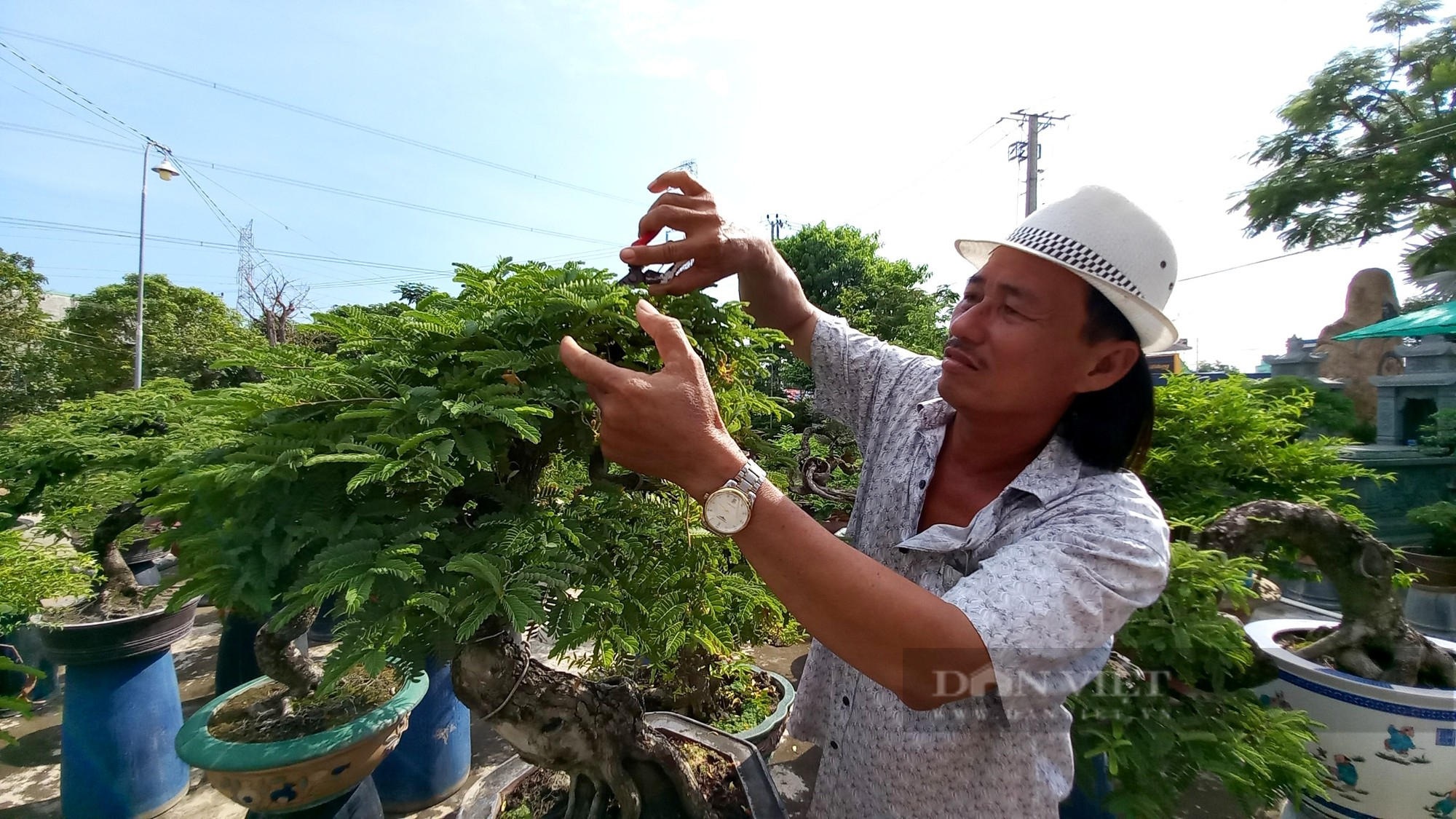 Thu nhỏ loại cây cao đến 20m, trái chua loét, ông nông dân vùng hạ Long An tì tì thu tiền tỷ - Ảnh 6.