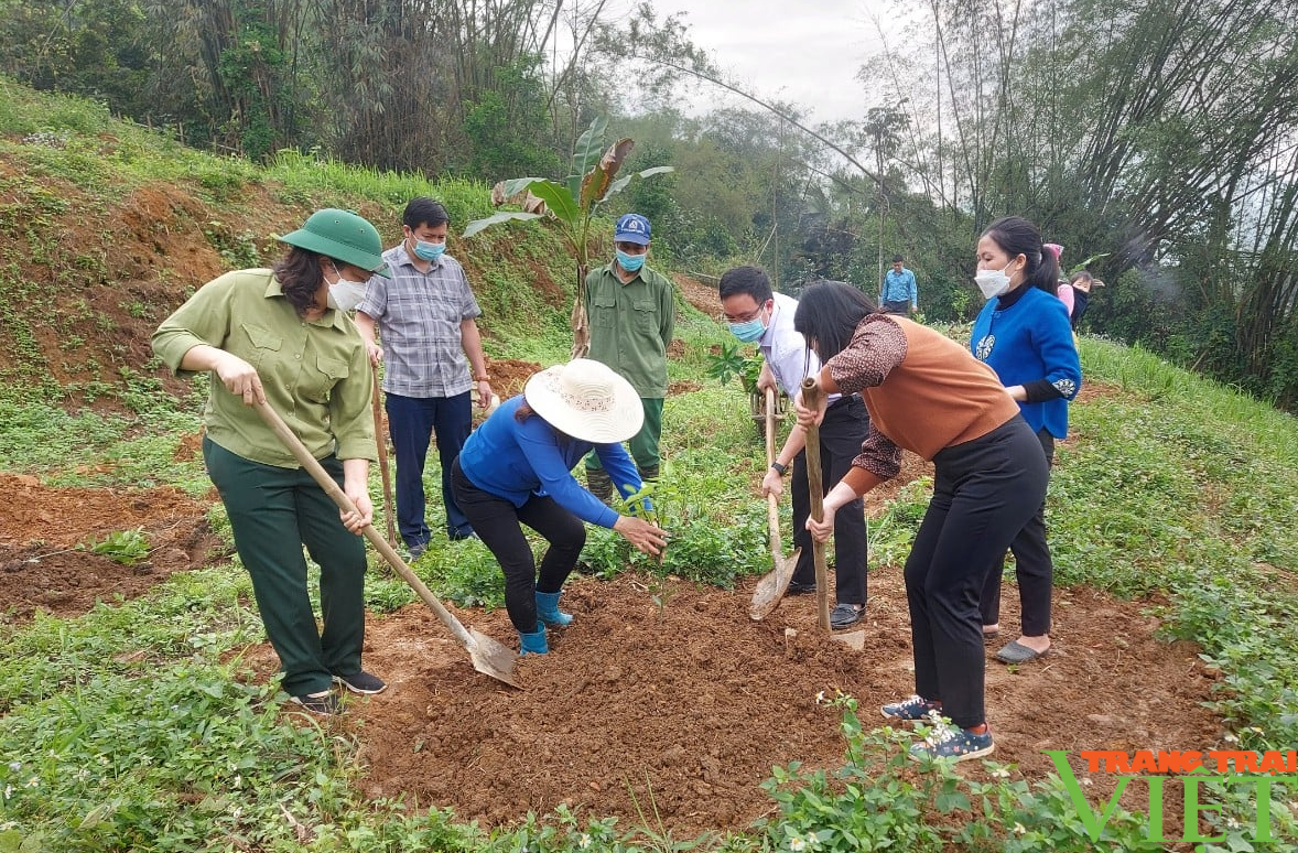Lào Cai: Phát huy vai trò của hội nông dân trong xây dựng nông thôn mới - Ảnh 2.