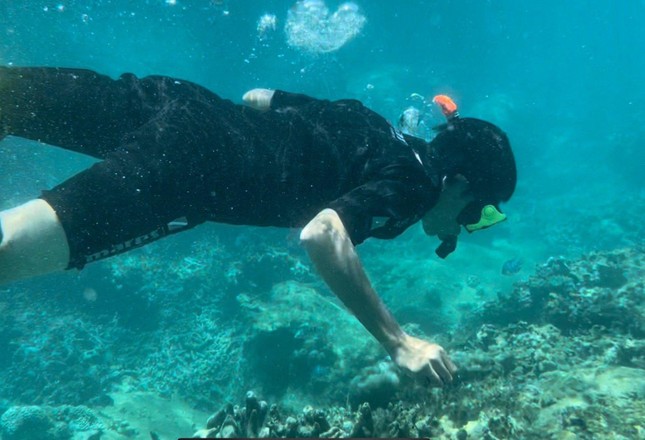 Nha Trang đề xuất lắp camera giám sát, bảo vệ san hô ở khu bảo tồn Hòn Mun - Ảnh 3.