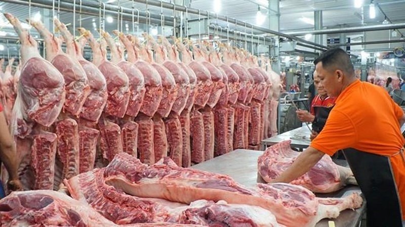 Giá thịt lợn Trung Quốc tăng mạnh, giá lợn trong nước tiếp tục cắm đầu, chưa thấy đáy - Ảnh 4.