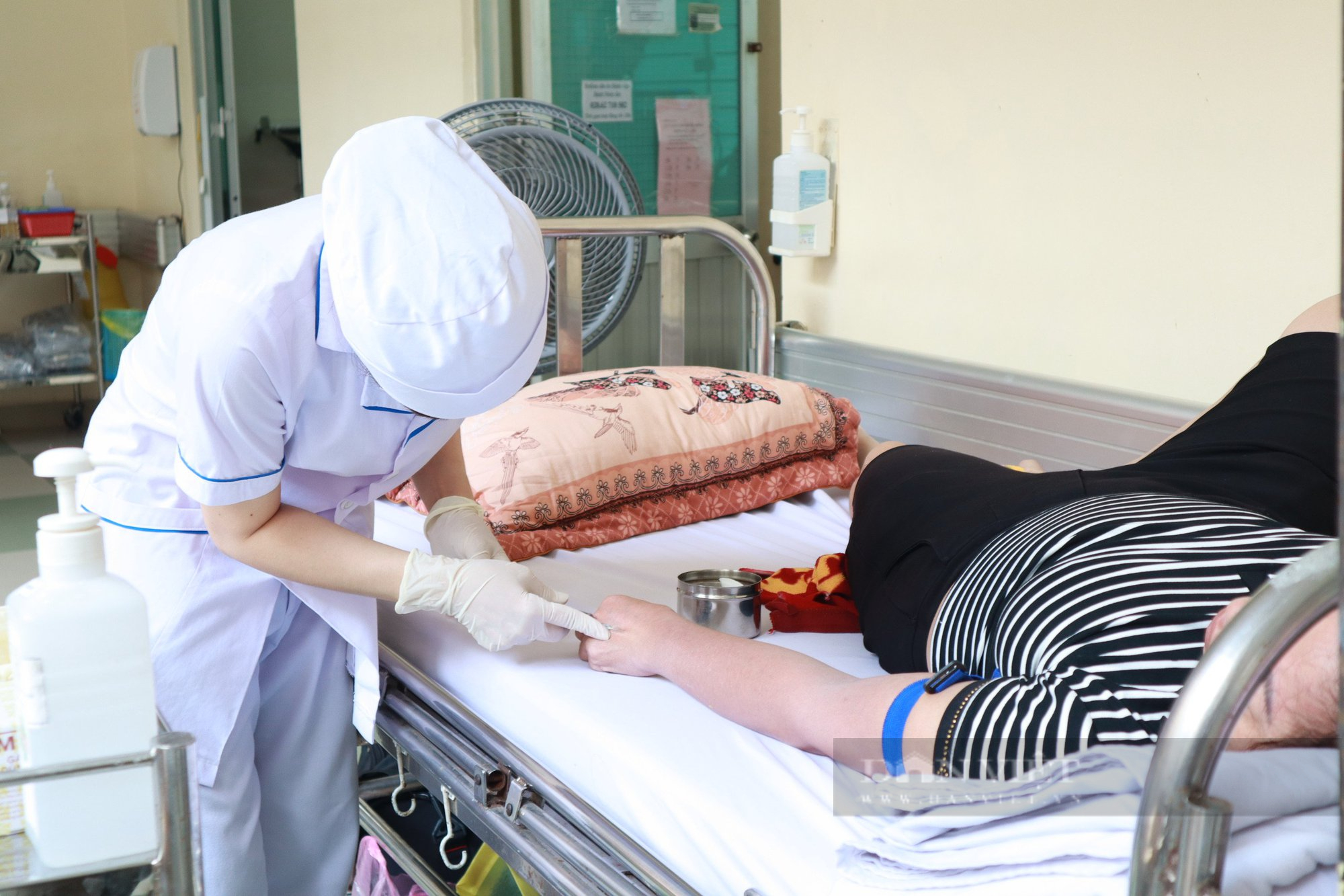 Nghịch lý: Bệnh viện thiếu thuốc sốt xuất huyết, Bộ Y tế chuẩn bị huỷ gần 3.500 túi dịch truyền hết hạn - Ảnh 1.