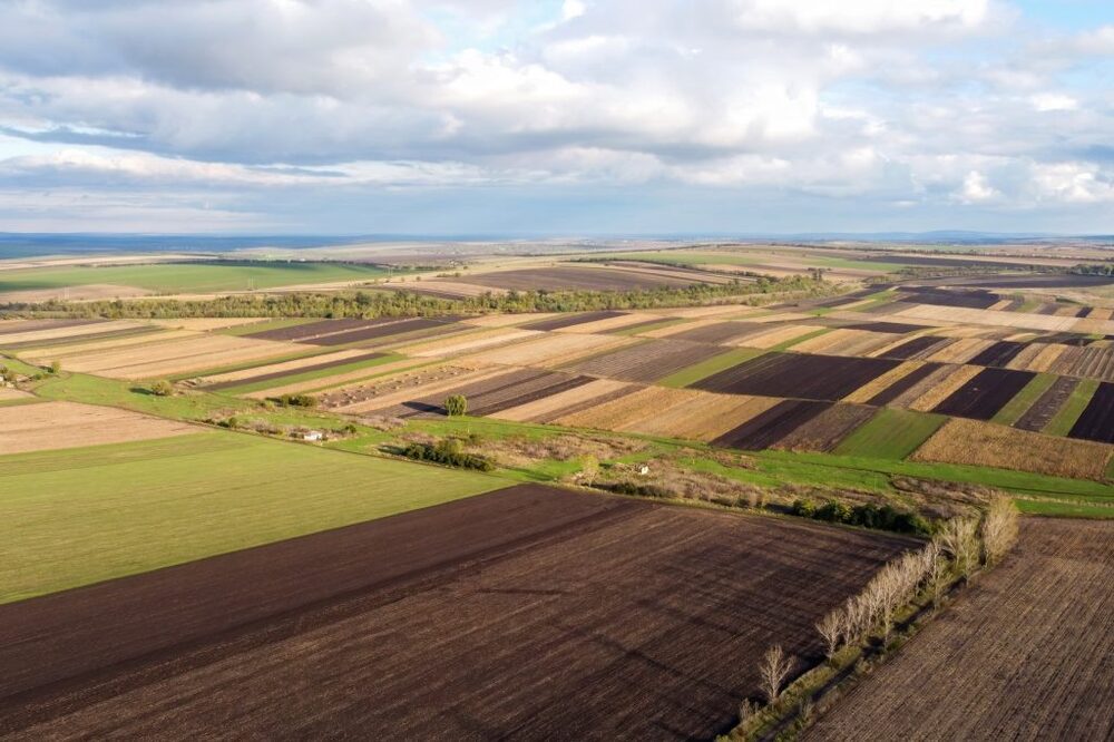 3 tập đoàn Mỹ mua 17 triệu ha đất nông nghiệp của Ukraine - Ảnh 1.
