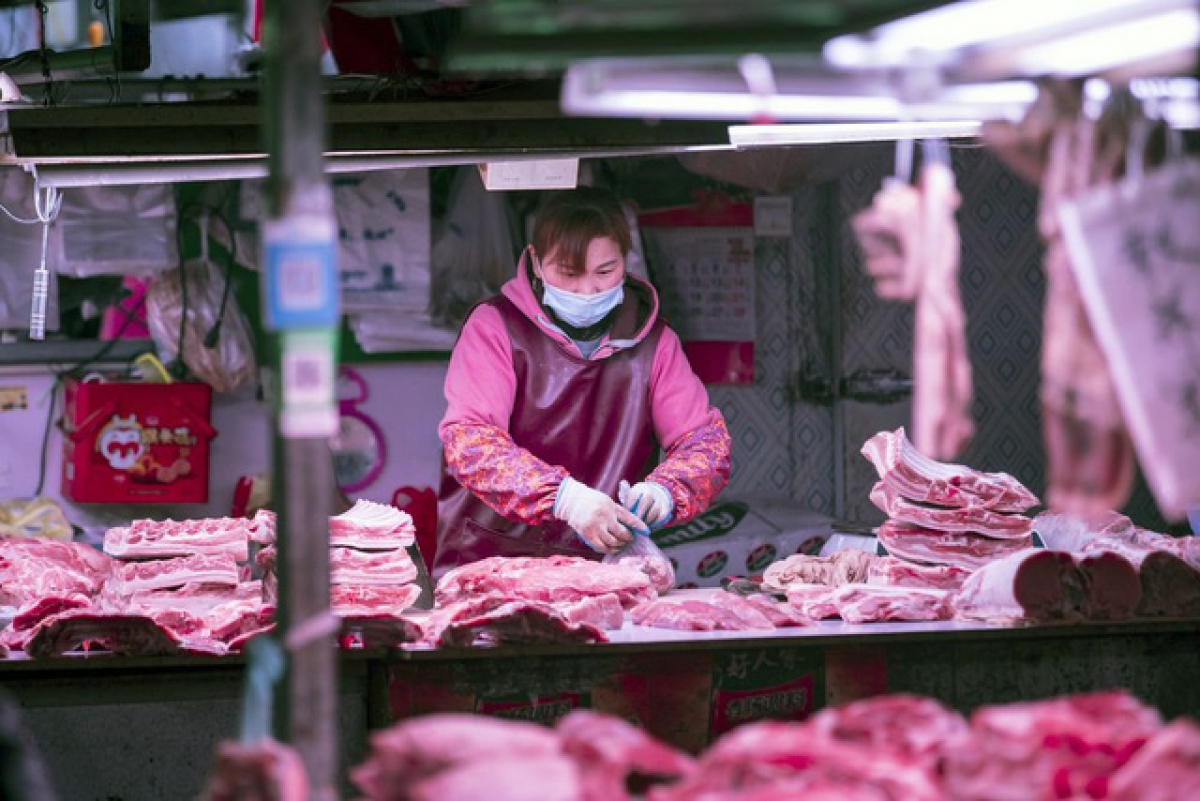 Giá thịt lợn tại Trung Quốc tăng bao nhiêu lần mà Việt Nam lo ngại vận chuyển lợn trái phép qua biên giới? - Ảnh 1.