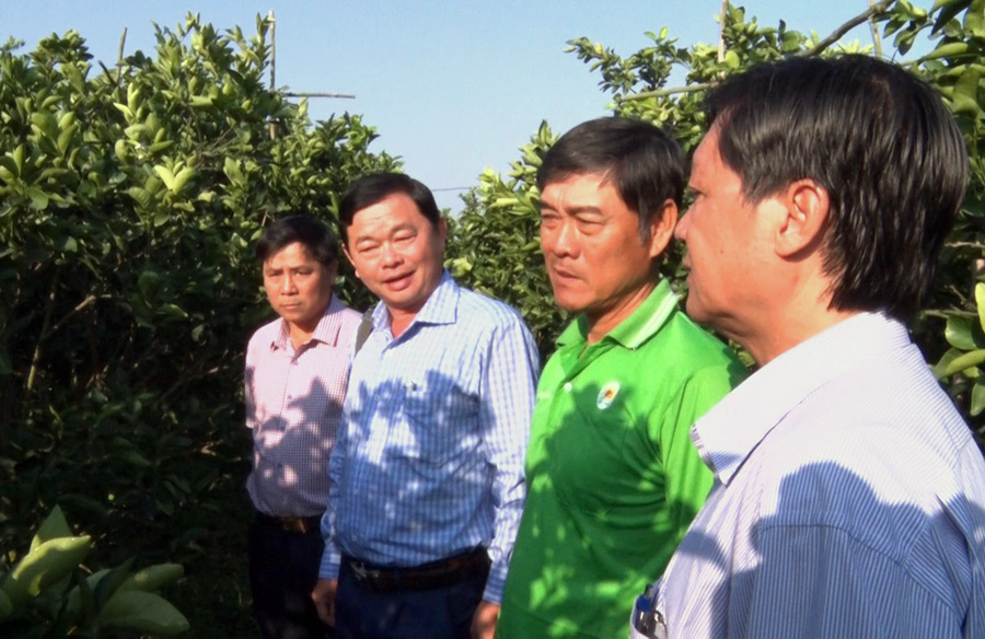 Hội Nông dân An Giang đưa 137 sản phẩm nông sản lên sàn thương mại điện tử - Ảnh 1.