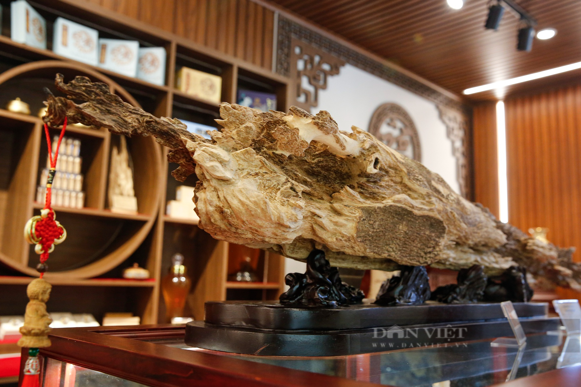 Khối gỗ trầm hương hiếm có nhìn giống "thanh bảo kiếm" được chào bán với giá 1 tỷ đồng