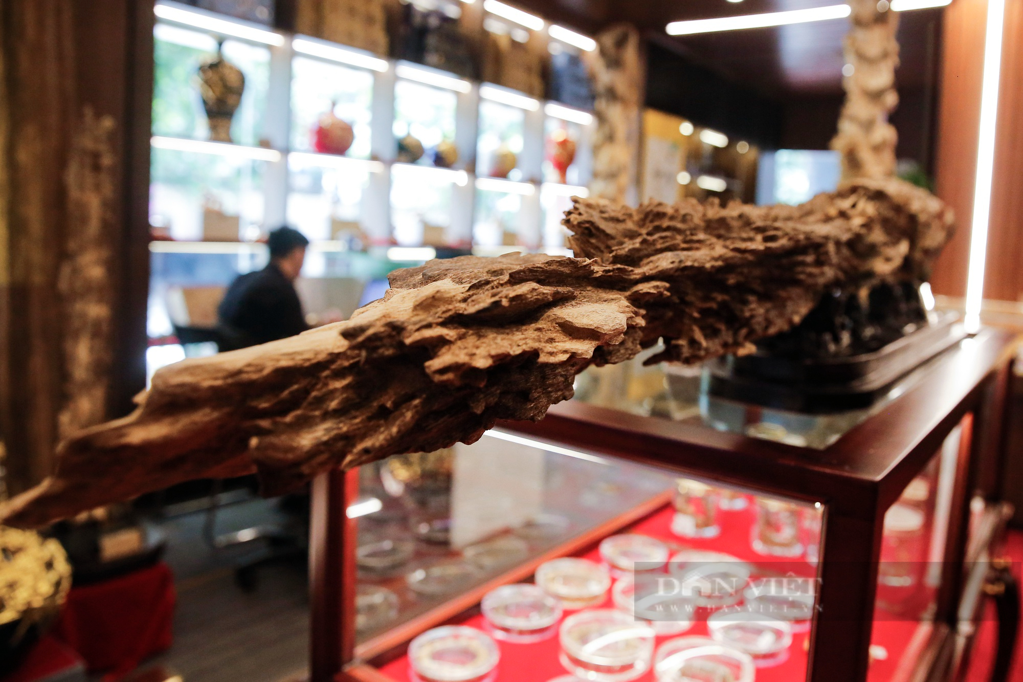 Cận cảnh khối gỗ trầm hương tự nhiên nhìn giống &quot;thanh bảo kiếm&quot; giá 1 tỷ đồng - Ảnh 6.