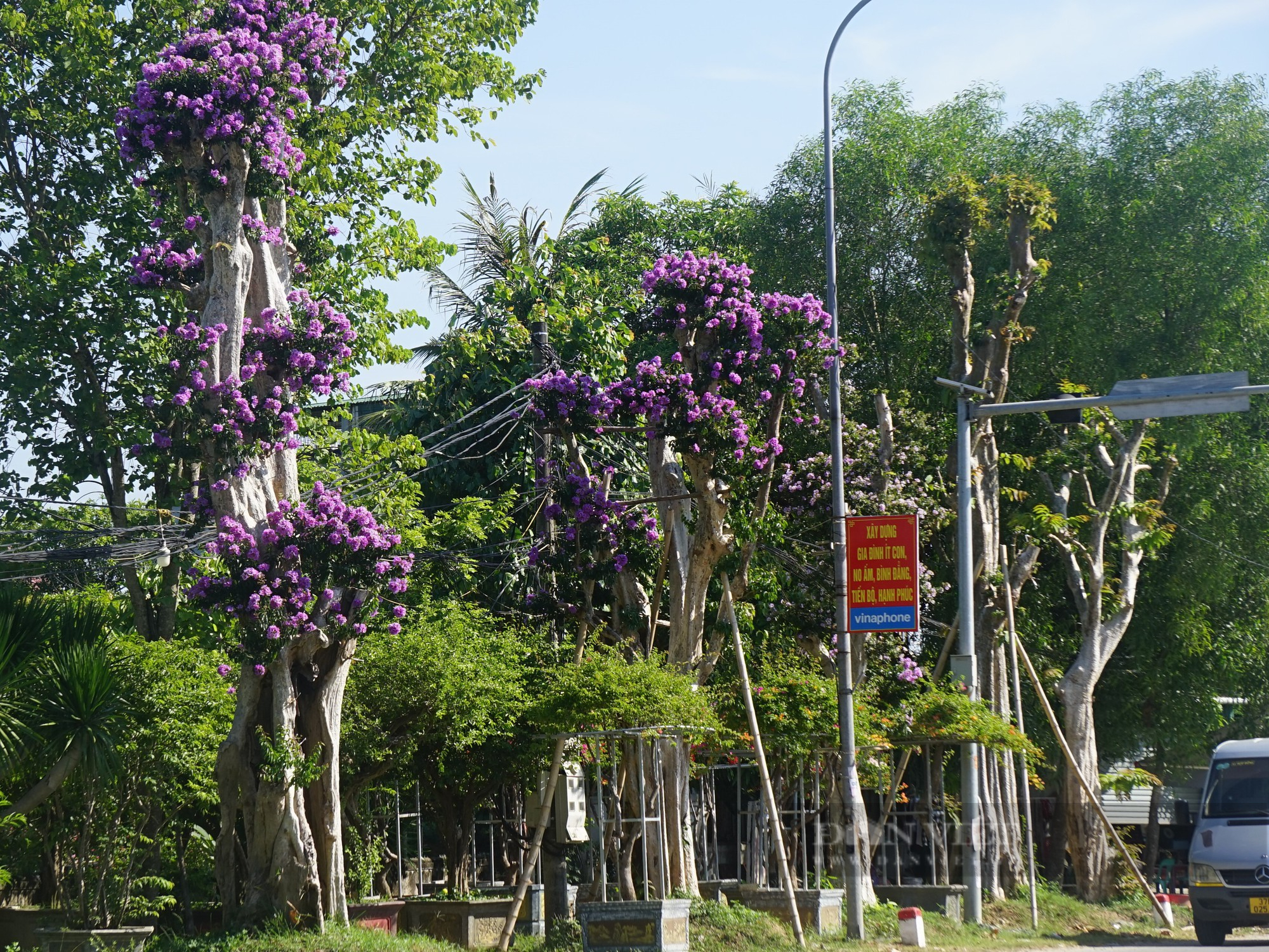 Săng lẻ xuống phố được &quot;thổi hồn&quot; trở thành món hàng độc, giá cả trăm triệu - Ảnh 2.