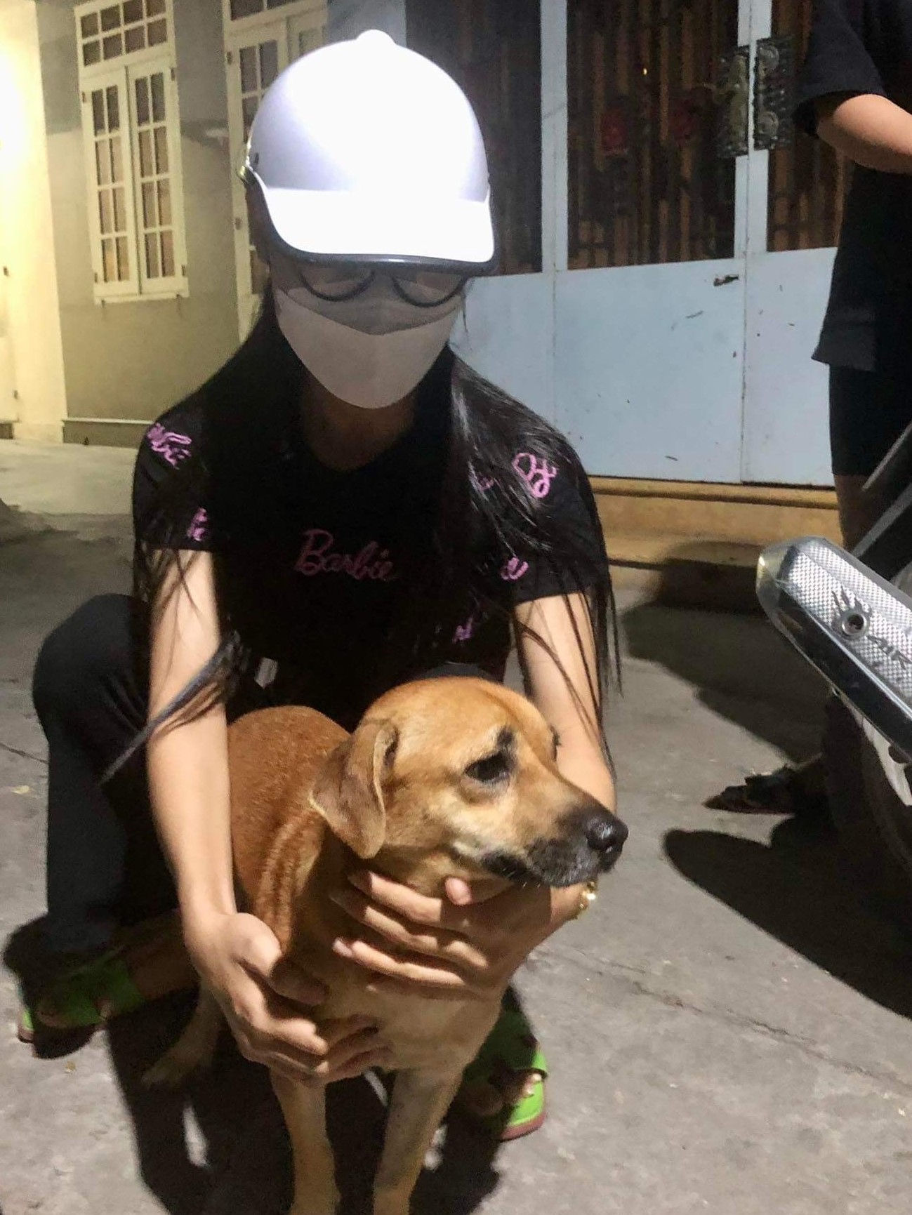 Khánh Hòa: 31 con chó trong lò mổ được giải cứu - Ảnh 3.