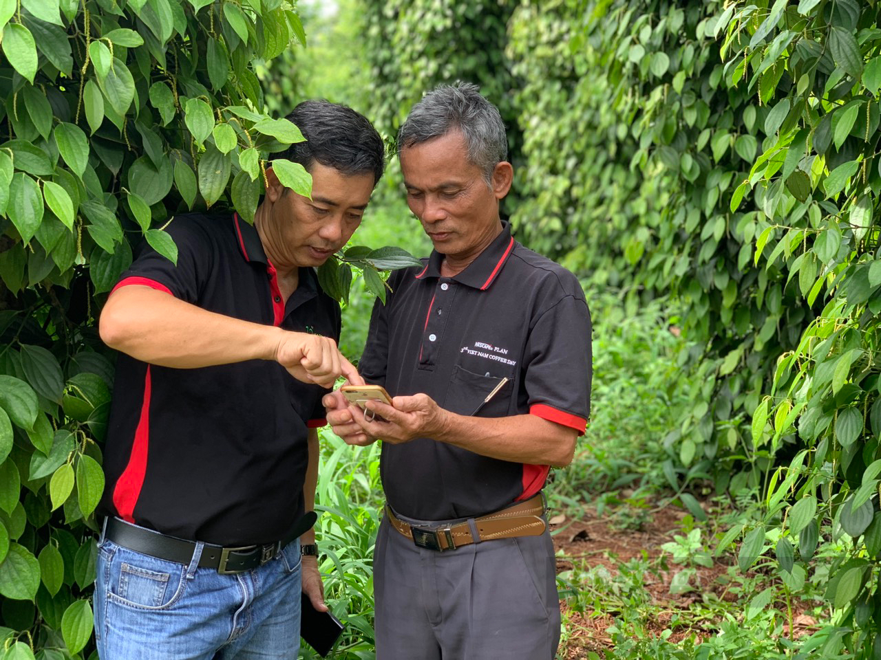 Làm nông nghiệp tái sinh, nông dân trồng cà phê ở Đăk Lăk có thu nhập cao gấp đôi - Ảnh 3.