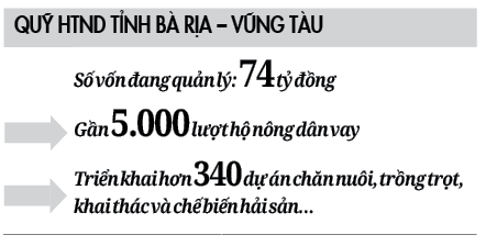 Giúp nhà nông hồi sinh vườn tiêu, đàn dê - Ảnh 3.