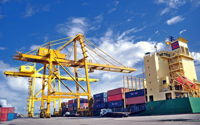 TP.HCM giảm 50% phí hạ tầng cảng biển, doanh nghiệp phấn khởi vì giảm nhiều áp lực chi phí - Ảnh 2.