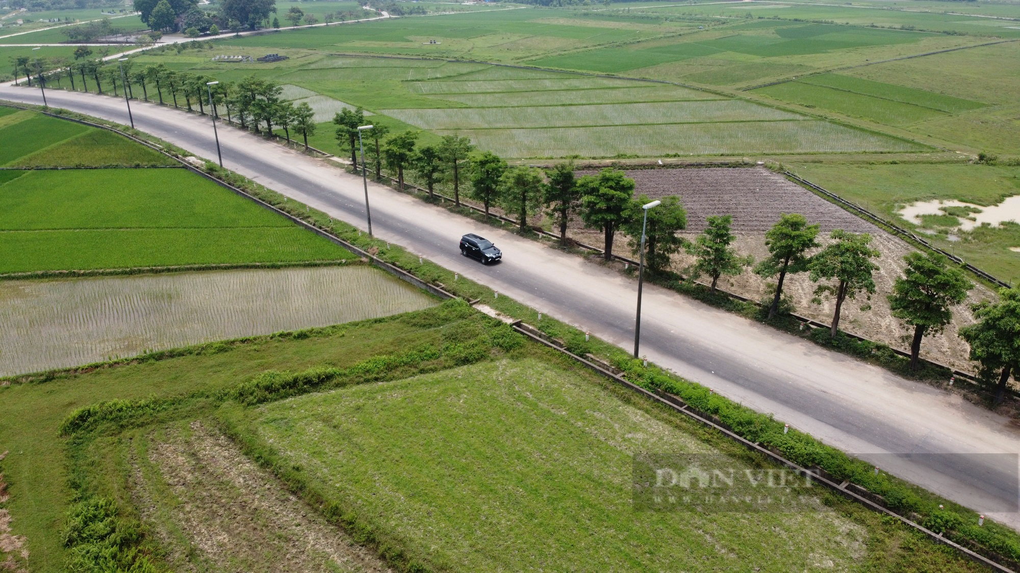 100 cây hoa sữa chuyển từ hồ Tây lên bãi rác Nam Sơn phát triển mạnh sau 3 năm trồng để khử mùi - Ảnh 11.