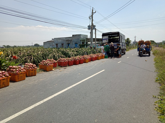 Ký ức Hà Nội: Nghĩa cử cao đẹp trong đợt &quot;giải cứu&quot; nông sản - Ảnh 3.