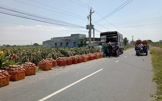 Ký ức Hà Nội: Nghĩa cử cao đẹp trong đợt "giải cứu" nông sản