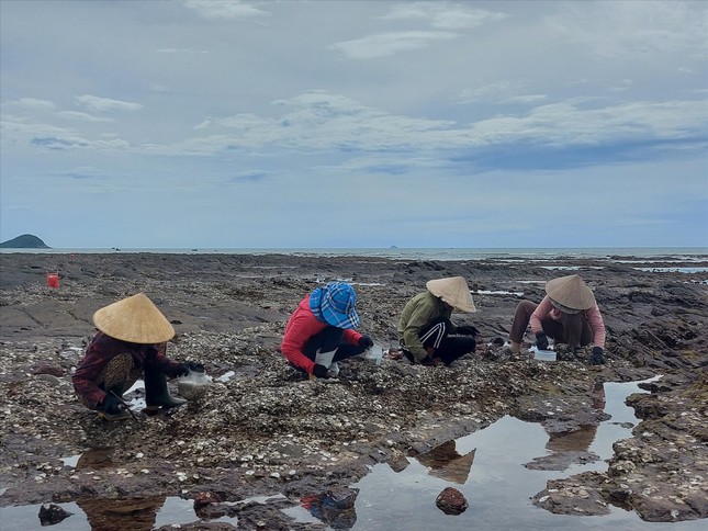 Nghề &quot;lạ&quot; của những người phụ nữ trên vịnh Hòn La: Mổ hàu - Ảnh 3.