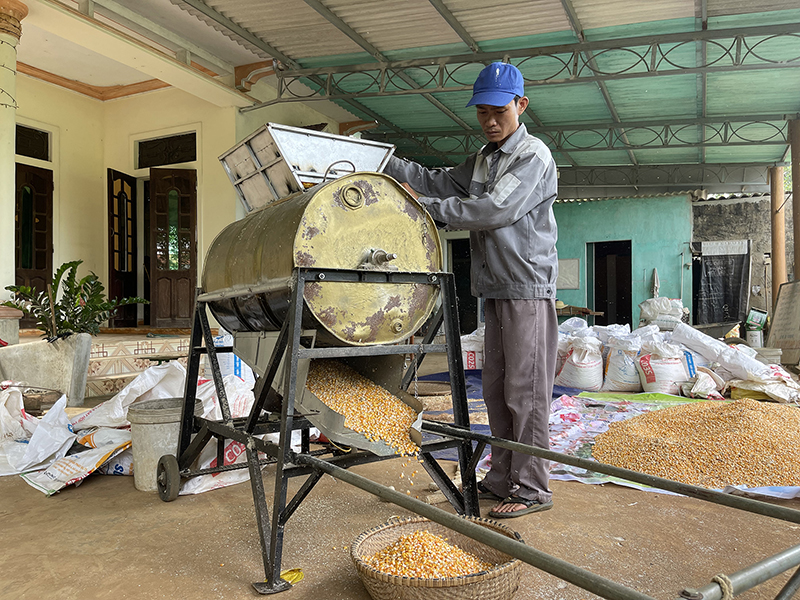 Cả làng ở Quảng Trị phục tài sáng chế máy tách hạt ngô tự động, anh nông dân chân đất - Ảnh 1.