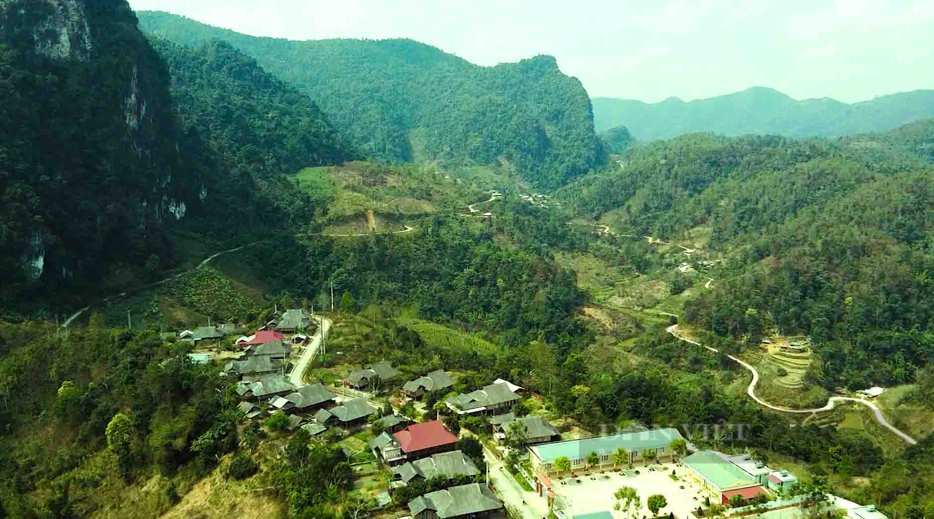 Nuôi con bé như hạt ngô, màu nâu, bay vù vù, nông dân Lai Châu có thu nhập khá - Ảnh 2.