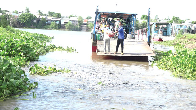 Chuyện lạ Đồng Tháp: Đàn cá hàng nghìn con đua nhau kéo đến tá túc ở cặp kênh, bến đò &quot;xin ăn&quot; - Ảnh 2.