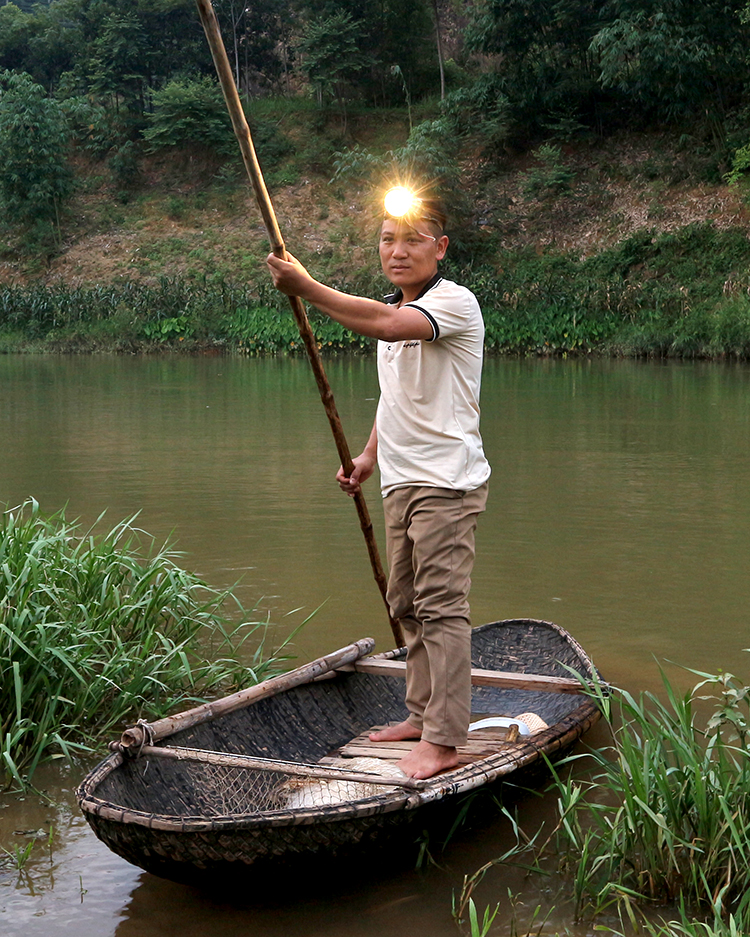 Đêm đi săn cá trên sông Bứa ở Phú Thọ, gặp hôm trúng mánh cả nhà gỡ cá từ khi gà gáy tới nắng gắt - Ảnh 3.