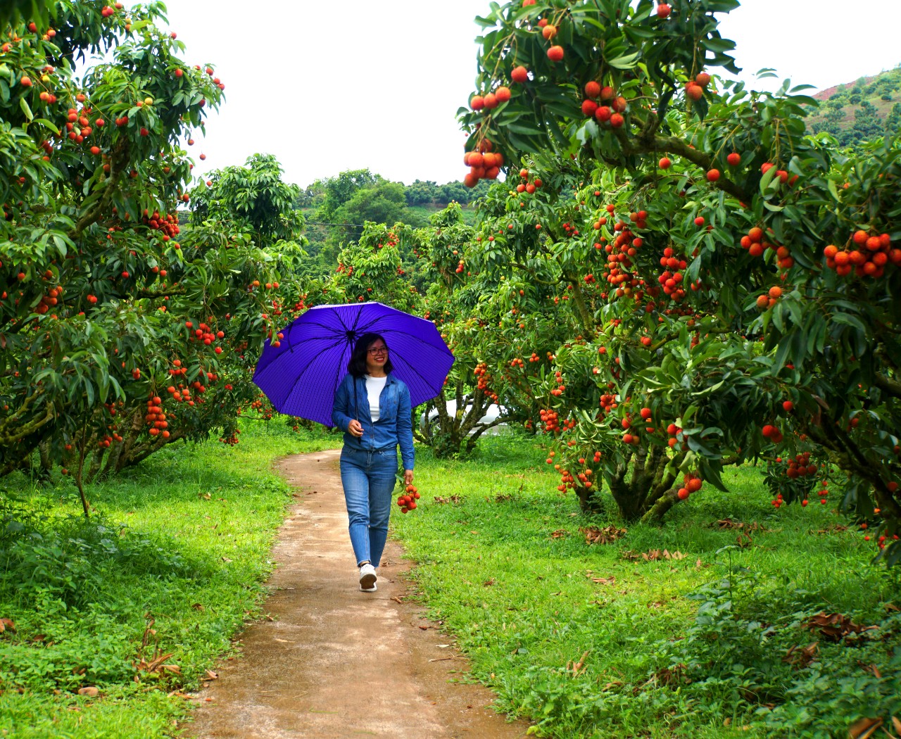 Khu vườn của một ông nông dân Bắc Giang có gì lạ mà có ngày đón cả trăm khách đến chụp ảnh, check in? - Ảnh 3.