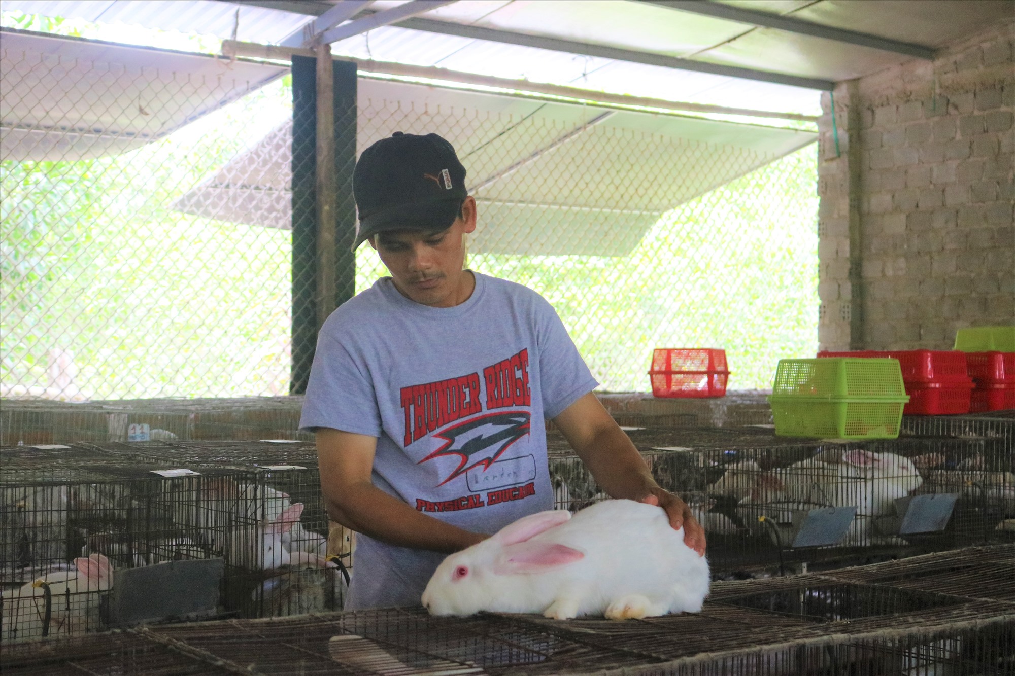 Dưới nuôi trùn quế trên nuôi thỏ, anh nông dân Quảng Nam khá giả hẳn lên - Ảnh 1.