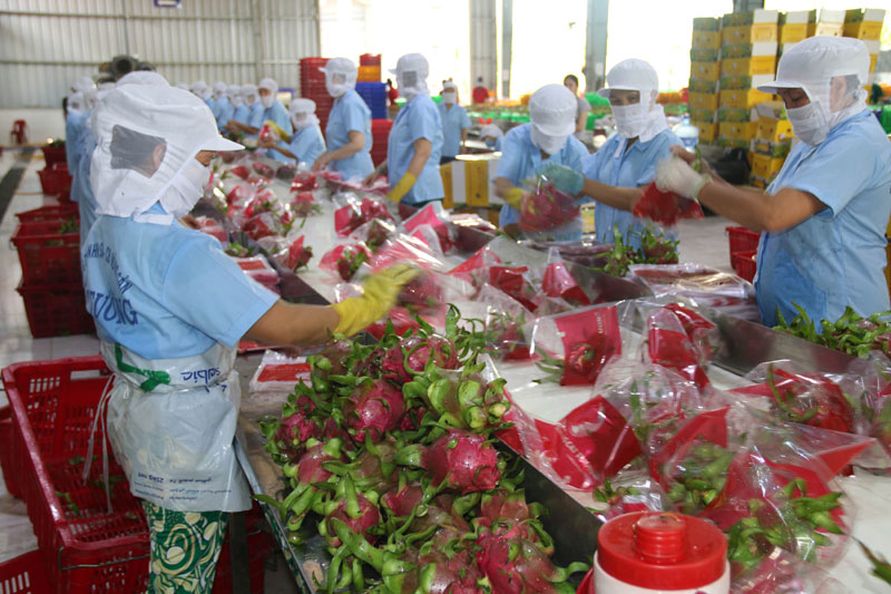 Nông sản Việt Nam liên tục bị kiểm tra gắt gao khi vào thị trường EU, vì sao? - Ảnh 1.