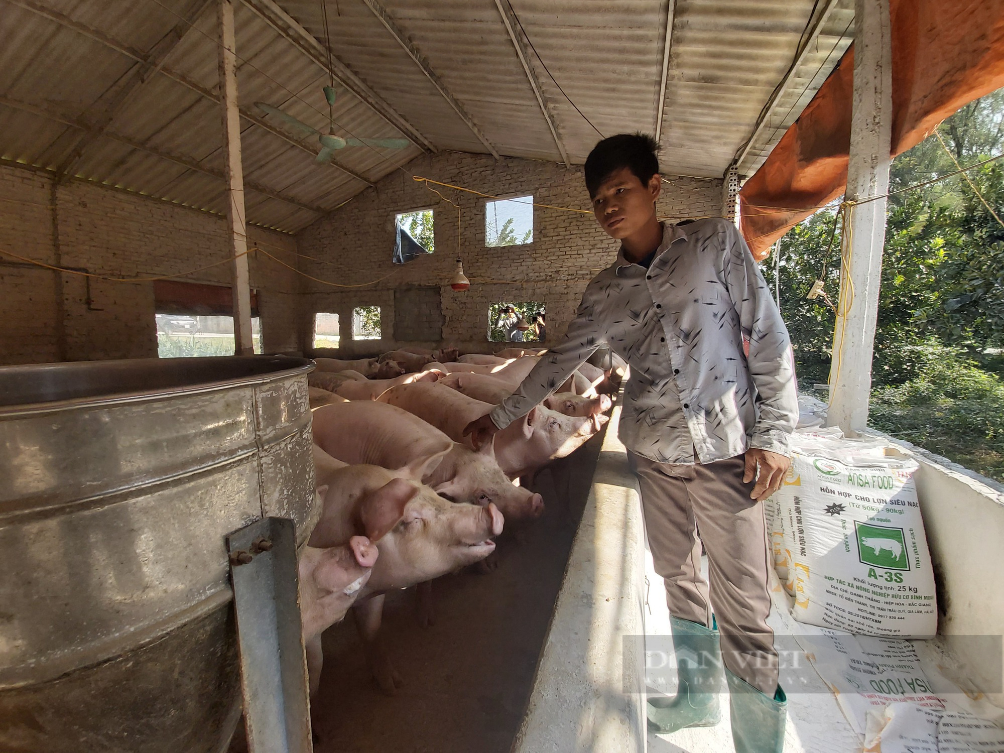 Giá lợn hơi hôm nay: Miền Bắc có nơi cao nhất 69.000 đồng/kg, miền Nam 68.000 đồng/kg...nhưng người chăn nuôi vẫn chưa lãi nhiều - Ảnh 2.