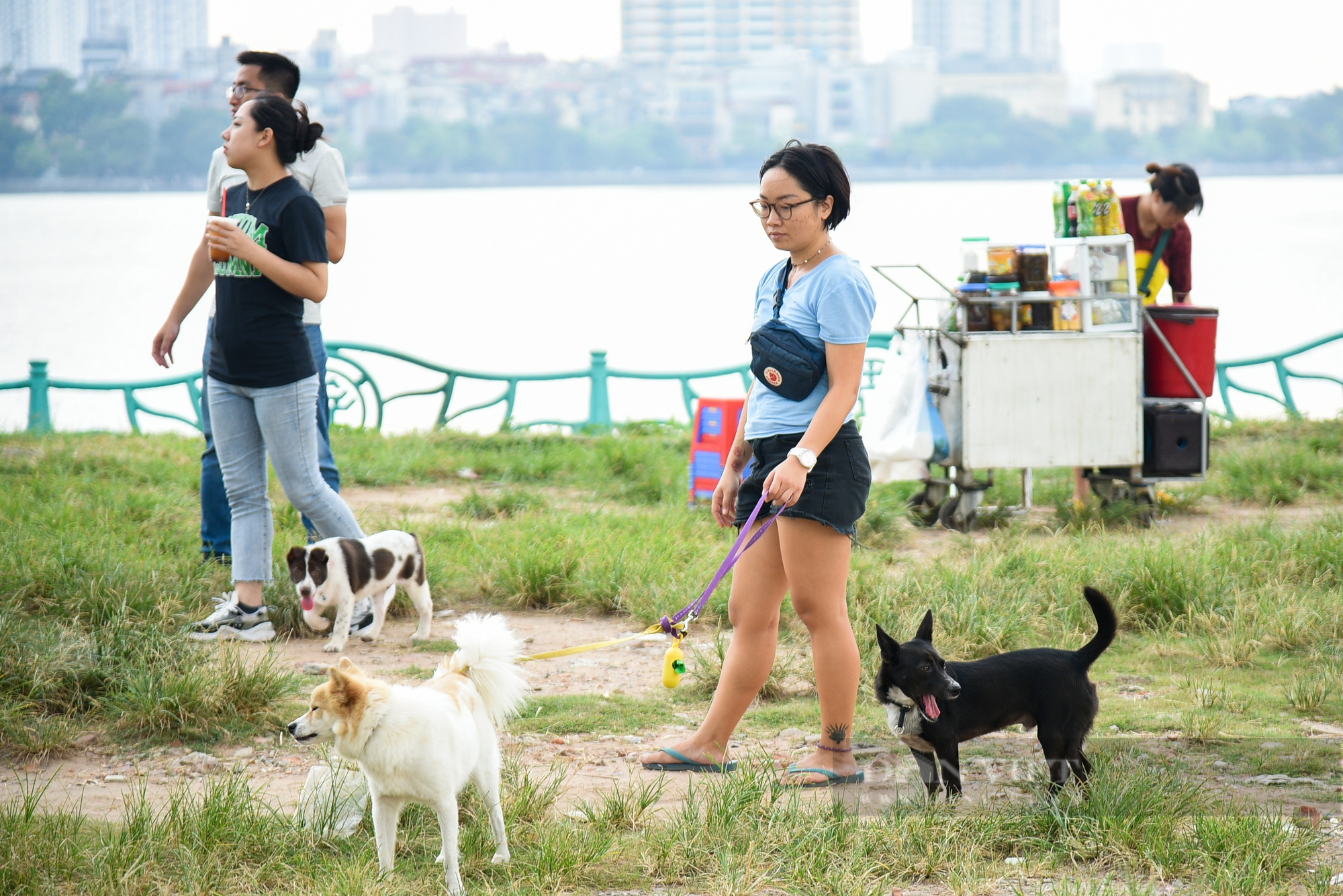 Công viên, bãi cỏ tại Hà Nội xuất hiện đầy rẫy chó không rọ mõm, dây xích được thả rông - Ảnh 2.