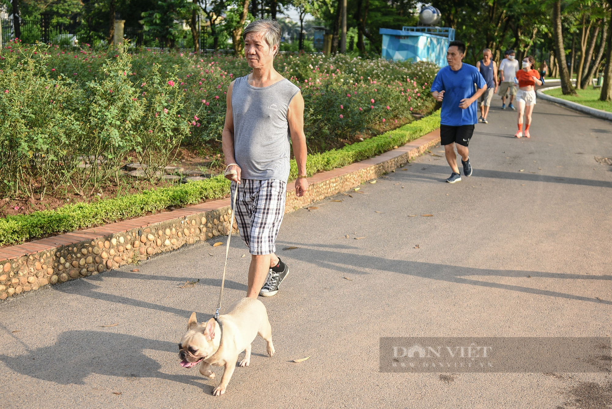 Công viên, bãi cỏ tại Hà Nội xuất hiện đầy rẫy chó không rọ mõm, dây xích được thả rông - Ảnh 10.