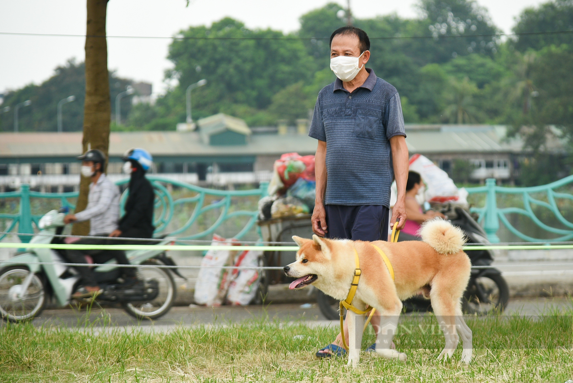 Công viên, bãi cỏ tại Hà Nội xuất hiện đầy rẫy chó không rọ mõm, dây xích được thả rông - Ảnh 8.