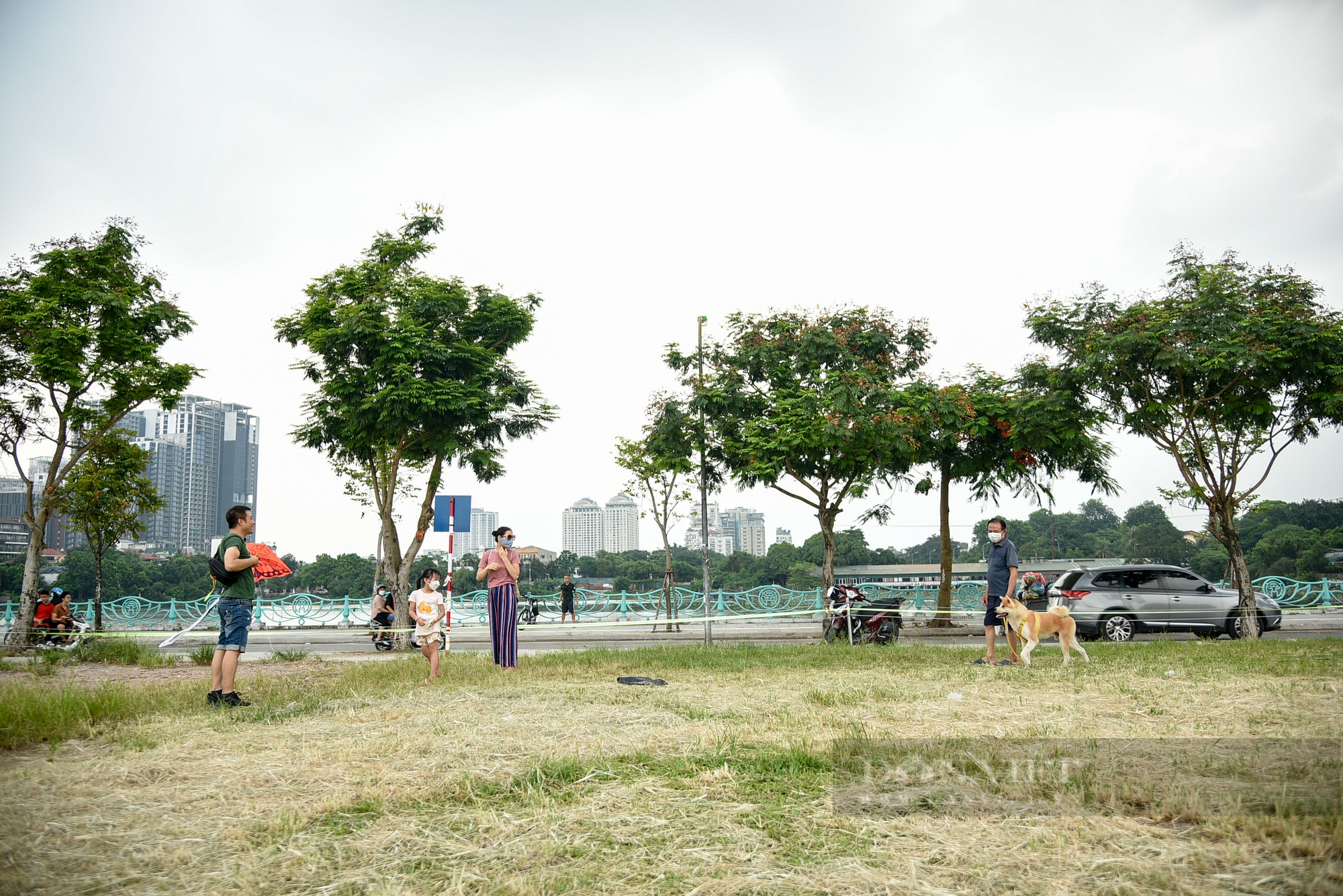 Công viên, bãi cỏ tại Hà Nội xuất hiện đầy rẫy chó không rọ mõm, dây xích được thả rông - Ảnh 4.