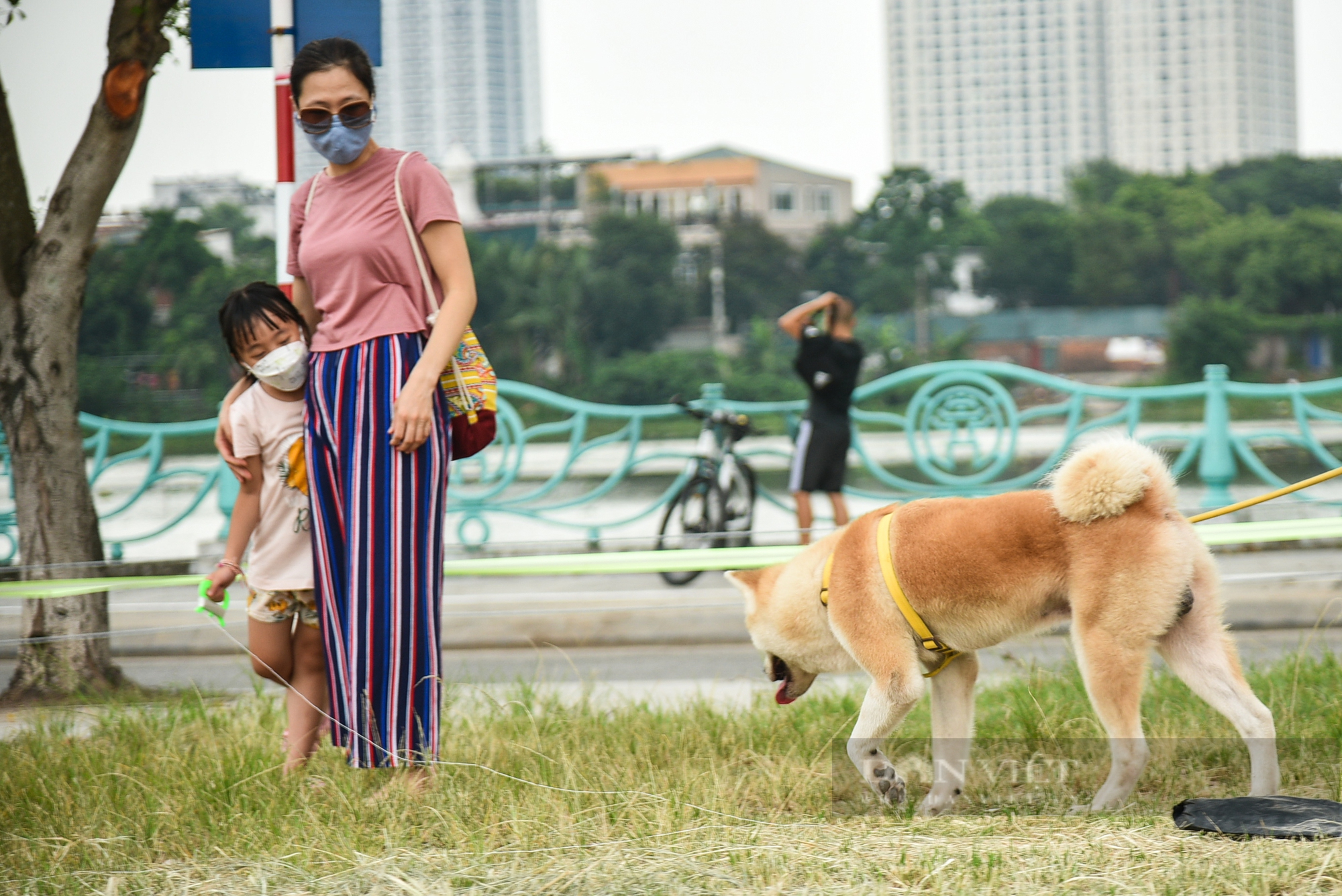 Công viên, bãi cỏ tại Hà Nội xuất hiện đầy rẫy chó không rọ mõm, dây xích được thả rông - Ảnh 7.