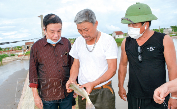 Loài cá hồng Mỹ nuôi trong ao nước mặn, nông dân Thái Bình bắt bán cả tấn, ai ăn cũng khen ngon - Ảnh 1.