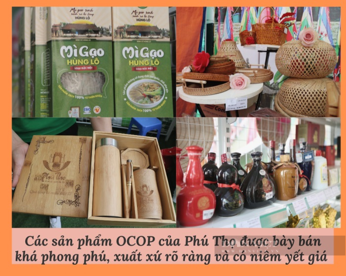 Hội Nông dân tỉnh Phú Thọ tạo “đòn bẩy” giúp nhà nông dám nghĩ, dám làm, thi đua làm giàu mạnh mẽ - Ảnh 7.