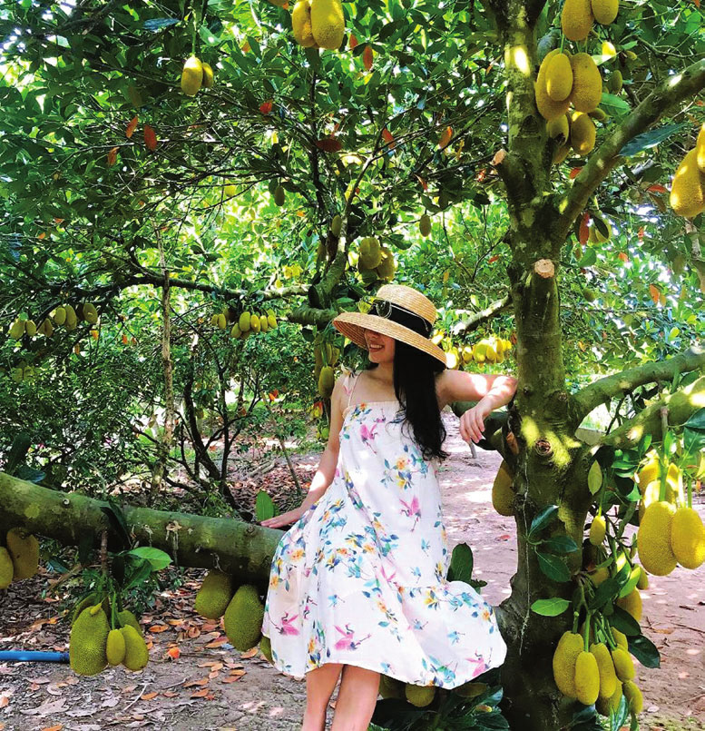 Vườn trái cây đẹp như phim ở Long Khánh, như lạc lên Đà Lạt, ngào ngạt mùi trái chín, quay phim, chụp ảnh là nhất - Ảnh 4.