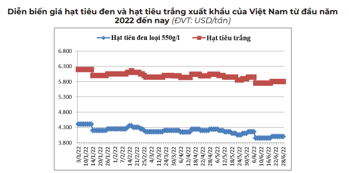 Nguồn cung cạn kiệt, hạt tiêu Việt có &quot;cơ hội vàng&quot; tăng giá? - Ảnh 2.