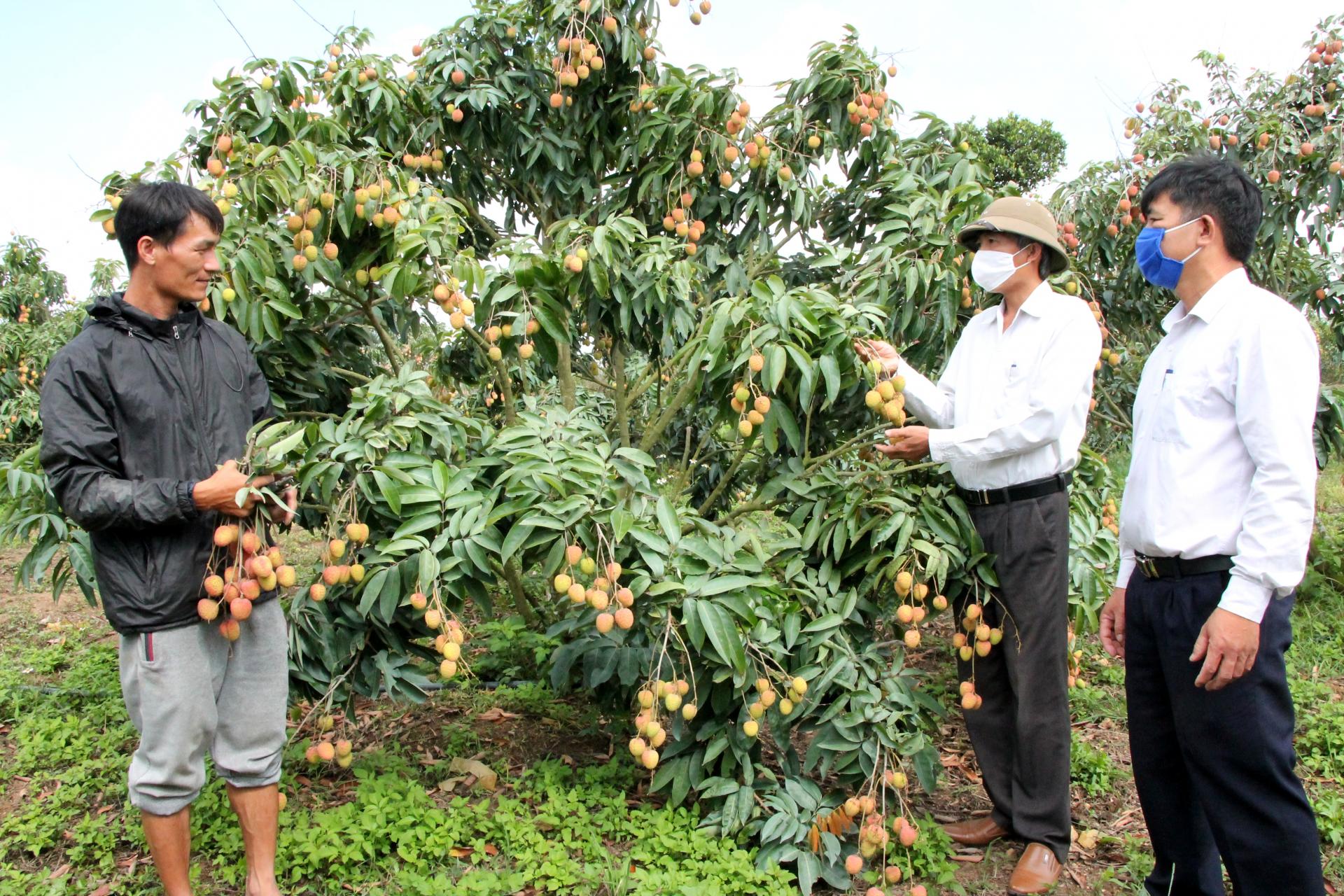 Hội Nông dân huyện Ea Kar ký ủy thác cho hội viên vay trên 154 tỷ đồng vốn tín dụng ưu đãi - Ảnh 1.