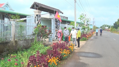 Con đường hoa nông thôn mới đẹp mê tơi ở vùng đất trù phú tỉnh Đồng Nai - Ảnh 3.
