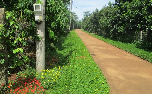 Con đường hoa nông thôn mới đẹp mê tơi ở vùng đất trù phú tỉnh Đồng Nai - Ảnh 1.